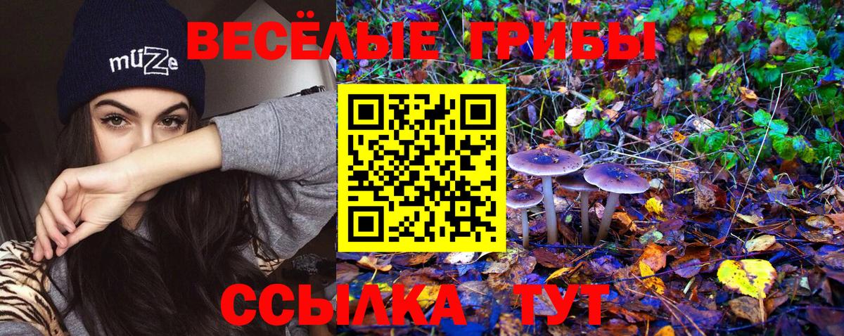 Рязань  Псилоцибиновые грибы MAGIC MUSHROOMS  Вход с VPN 